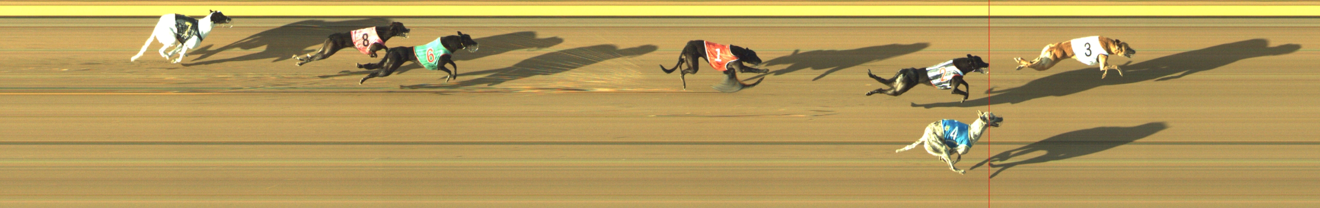 Race result finish photo